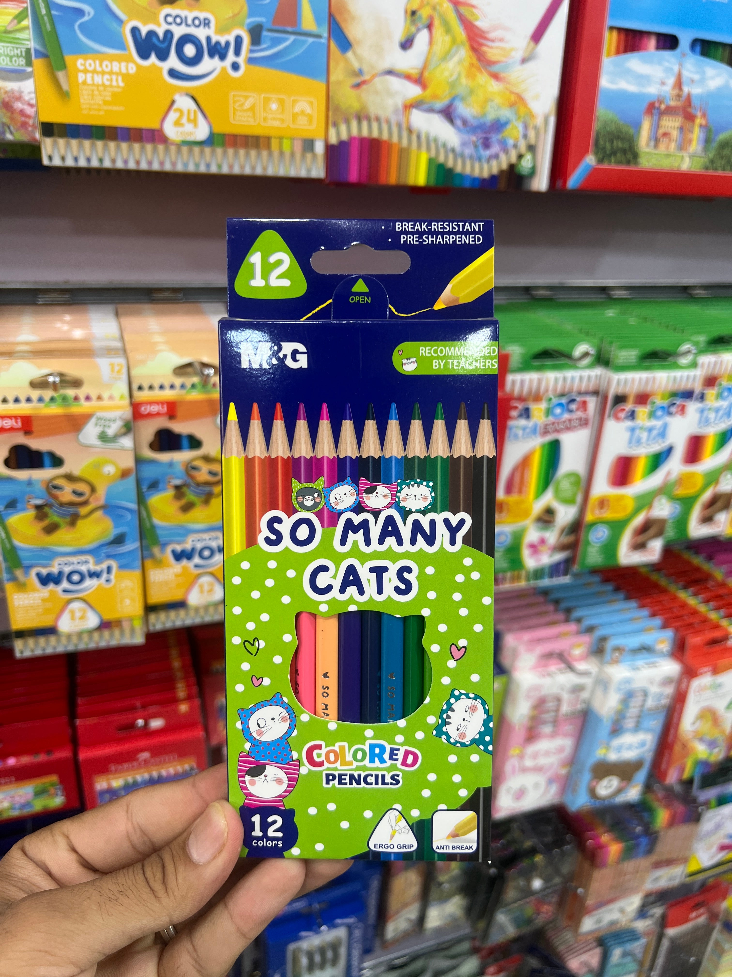 ألوان خشب 12 لون MG - So Many Cats