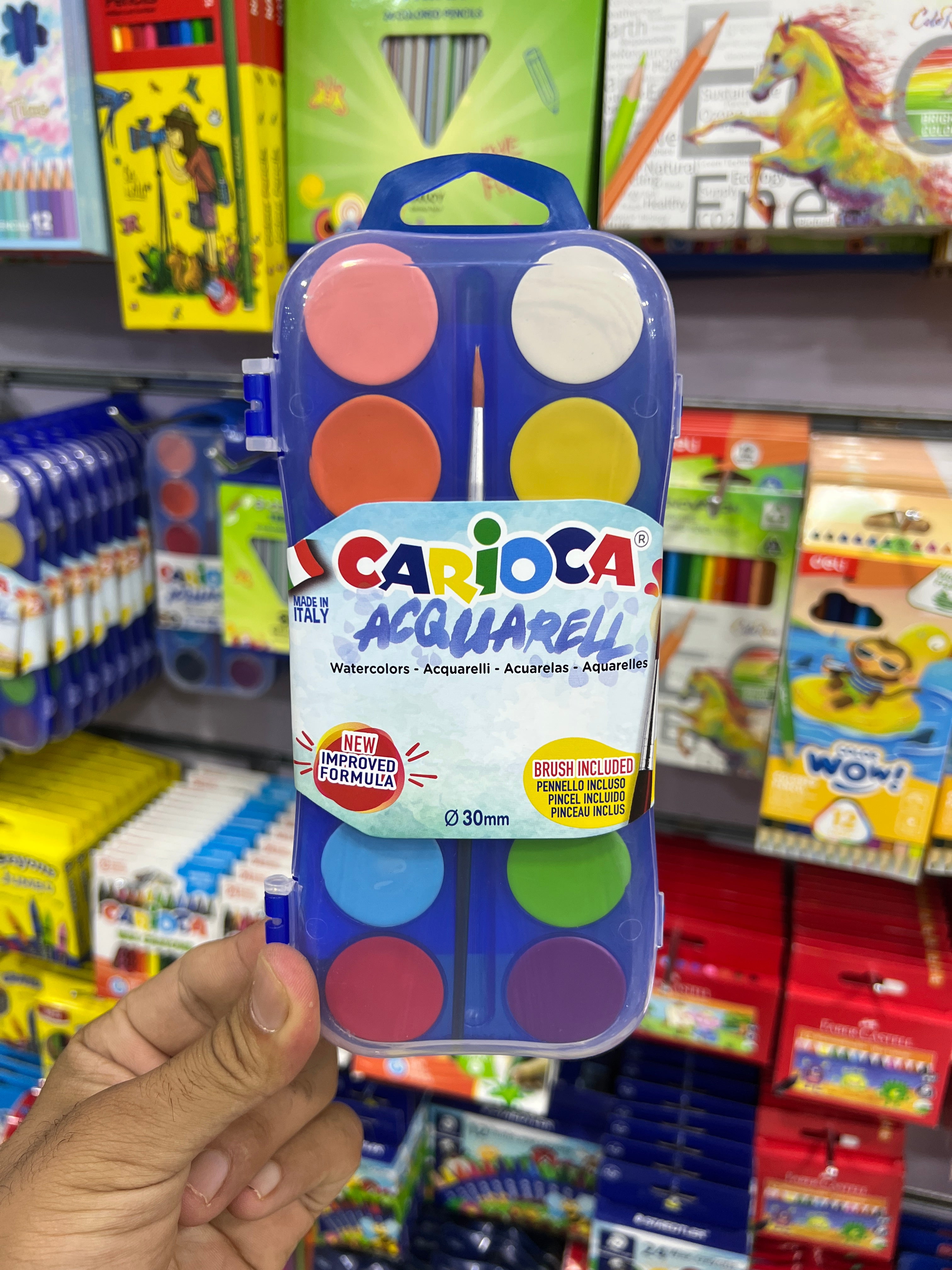 ألوان حجارة 12 لون + فرشة  Carioca